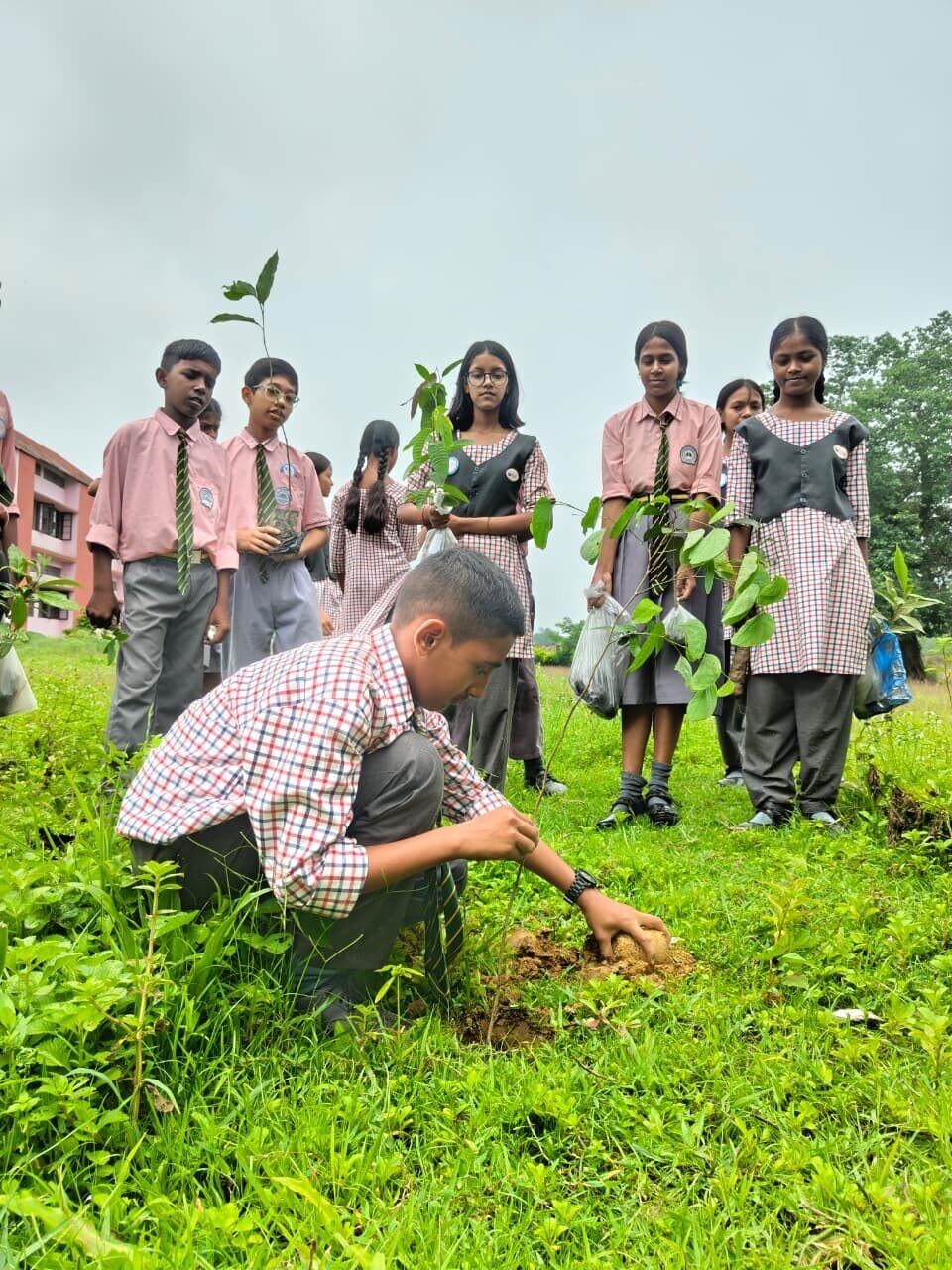 Eco Club Activity